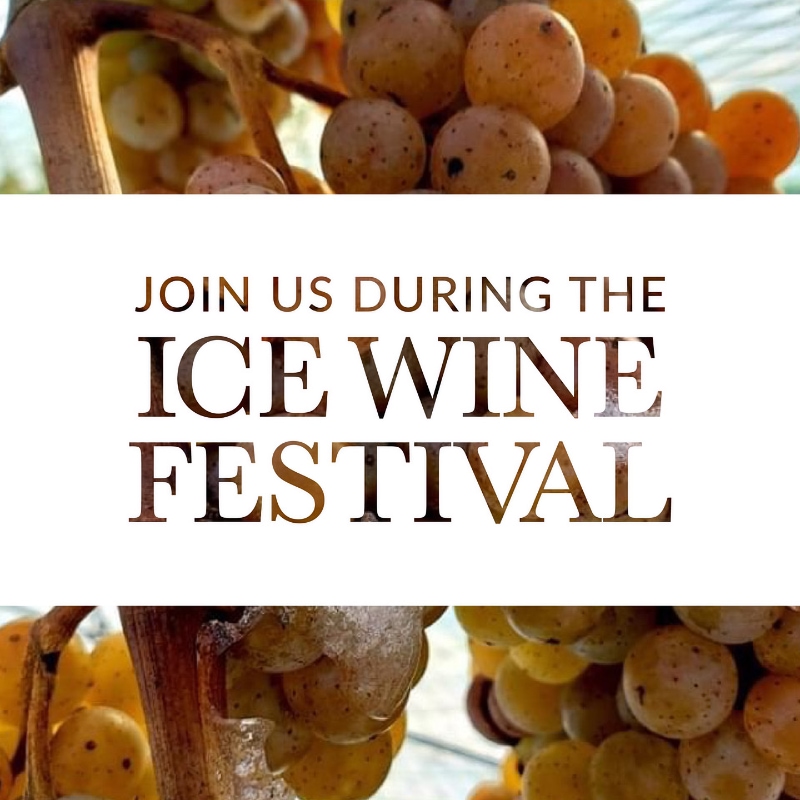 Ice Wine Festival Event Image