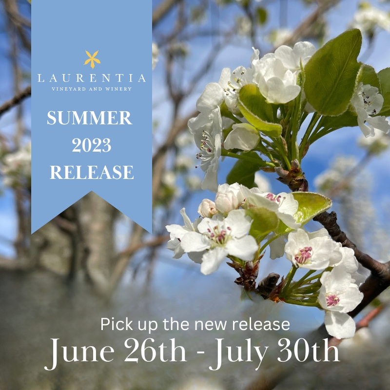 Summer 2023 Wine Release Image with flowers and dates