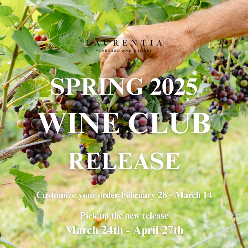 Spring Wine Club release graphic