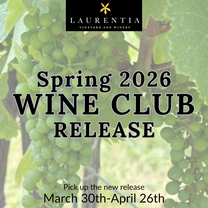 Spring 2026 Wine Club Release graphic with view of winery with vines in background